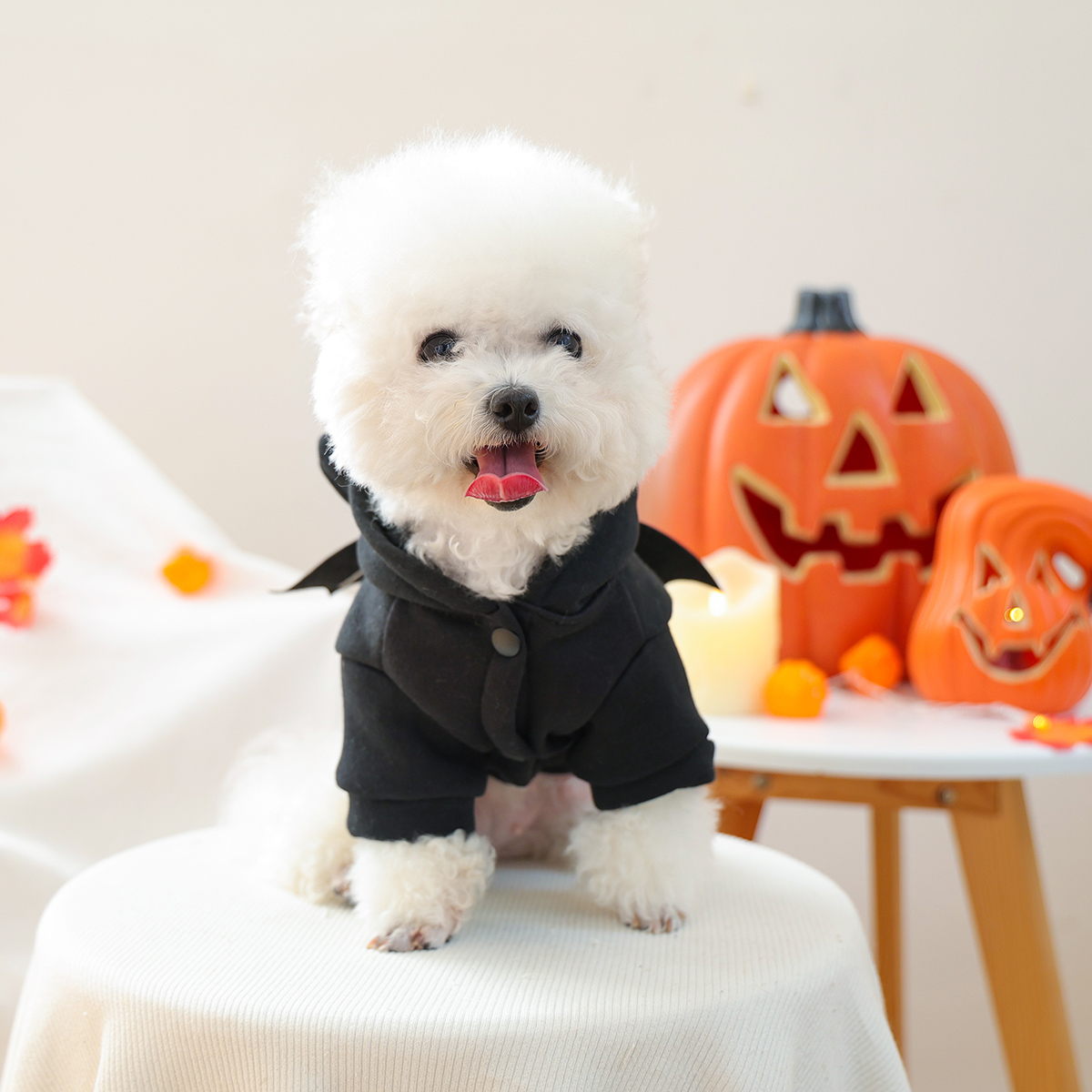 Pet Bat Wing Hoodie – Warm Fleece Halloween Costume for Dogs & Cats - Image 3