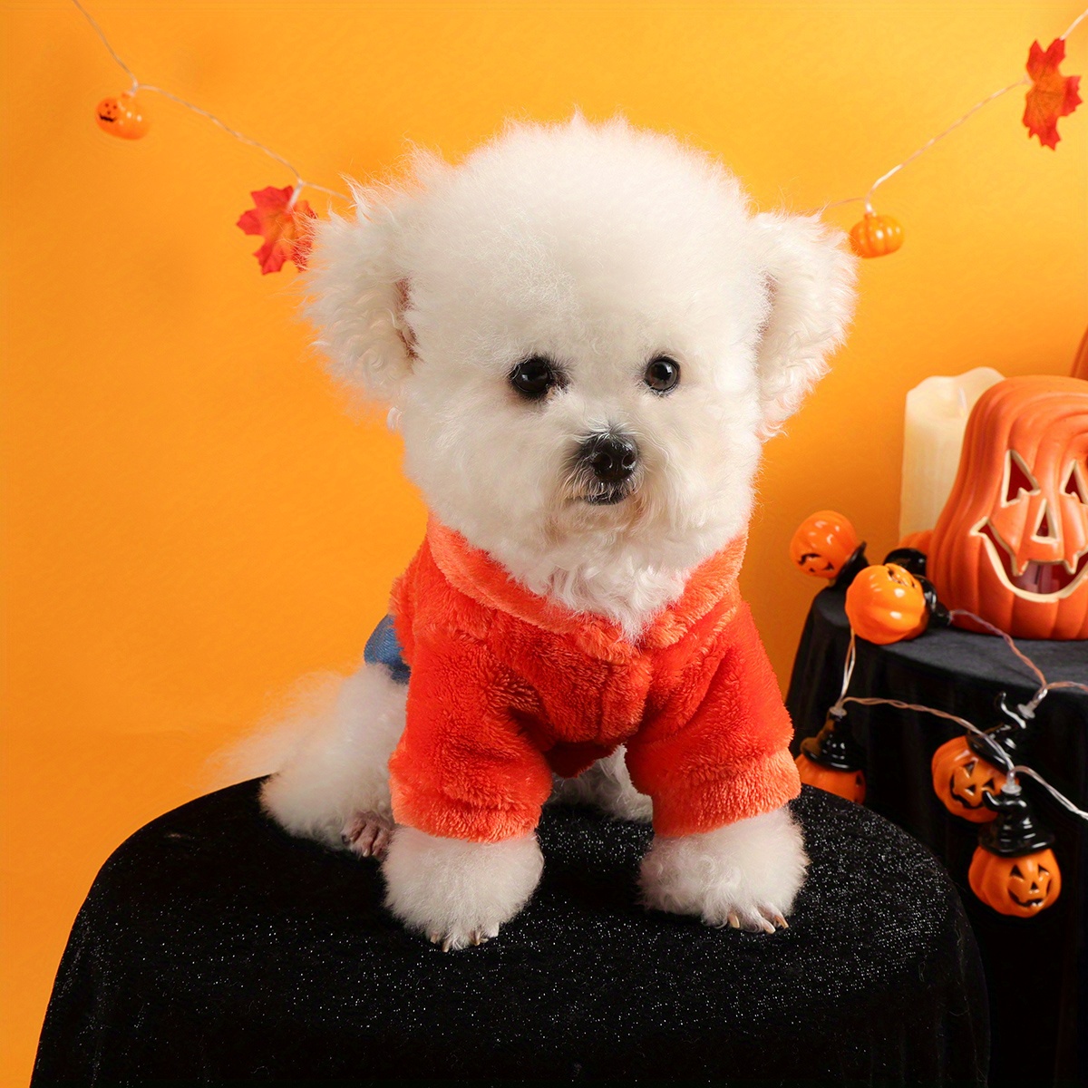 Halloween Pumpkin Pet Costume Jacket for Dogs and Cats – Fleece Warm Outfit - Image 5