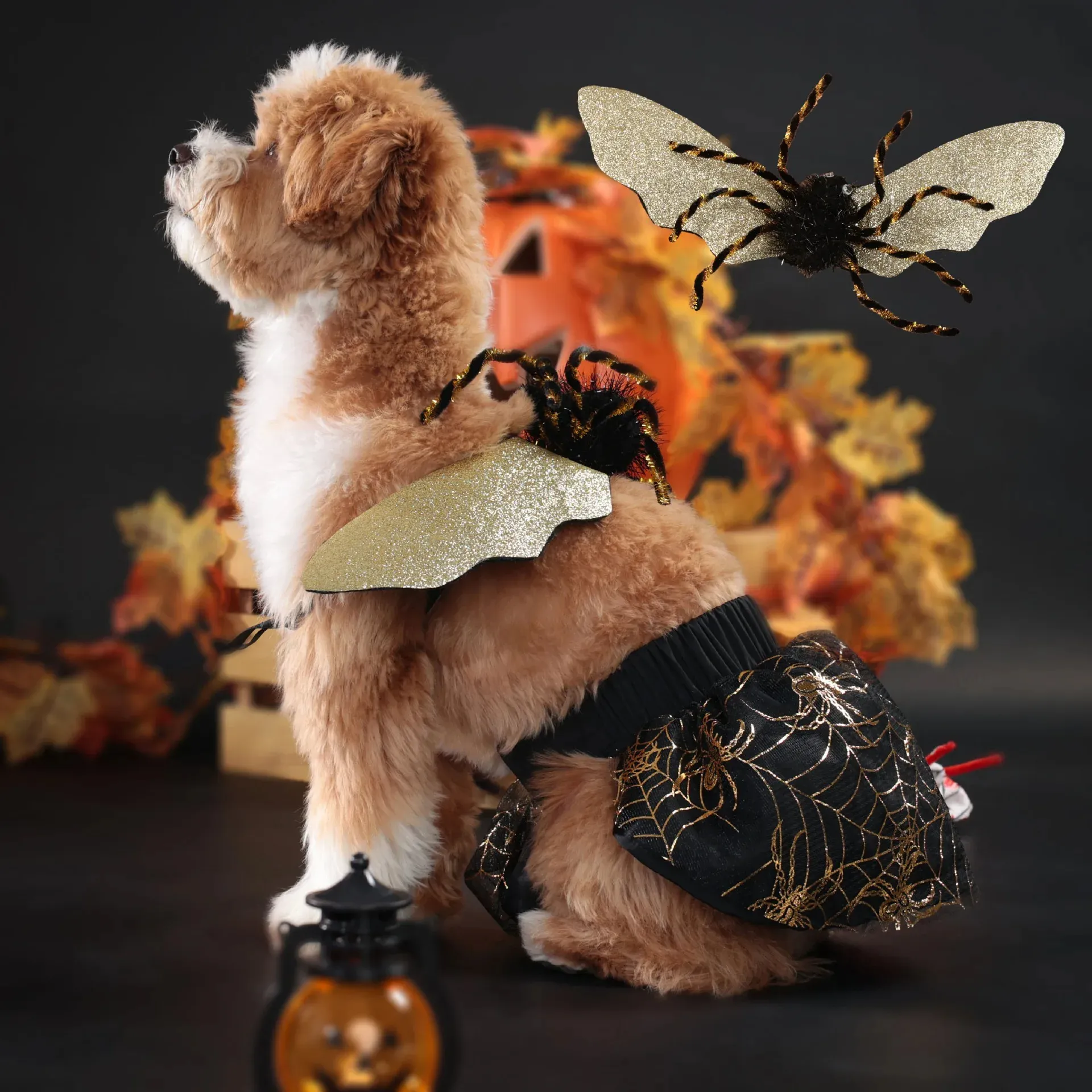 Spider Dog Costume - Funny Pet Halloween & Cosplay Outfit with Wings