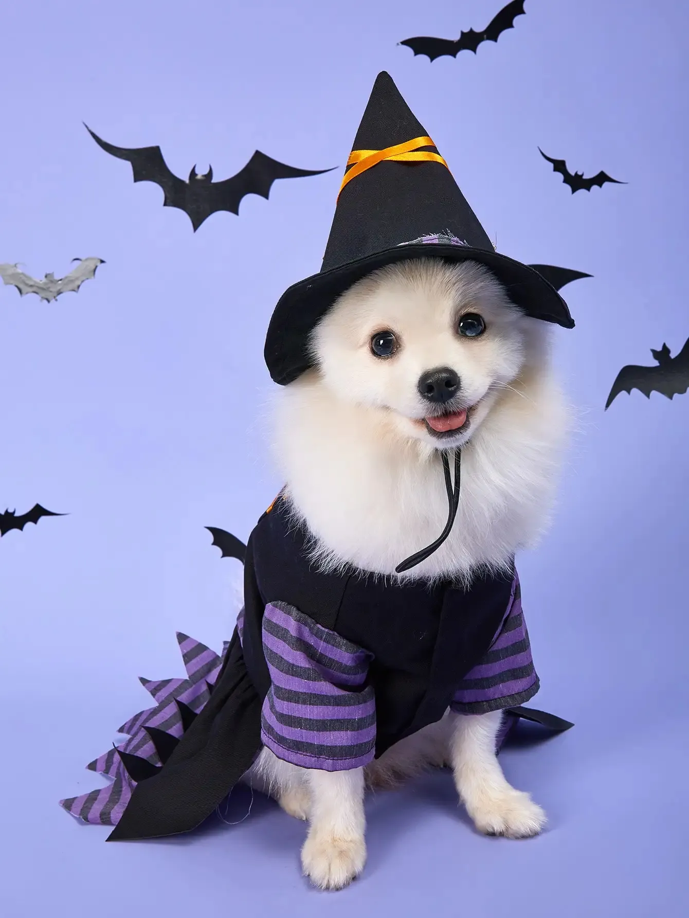 Funny Halloween Pet Costume for Dogs & Cats – Adjustable & Cozy - Image 2