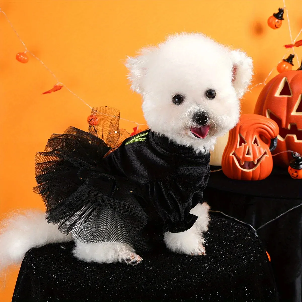 Hey Boo Halloween Pet Dress – Funny Black Mesh Costume for Dogs & Cats - Image 2