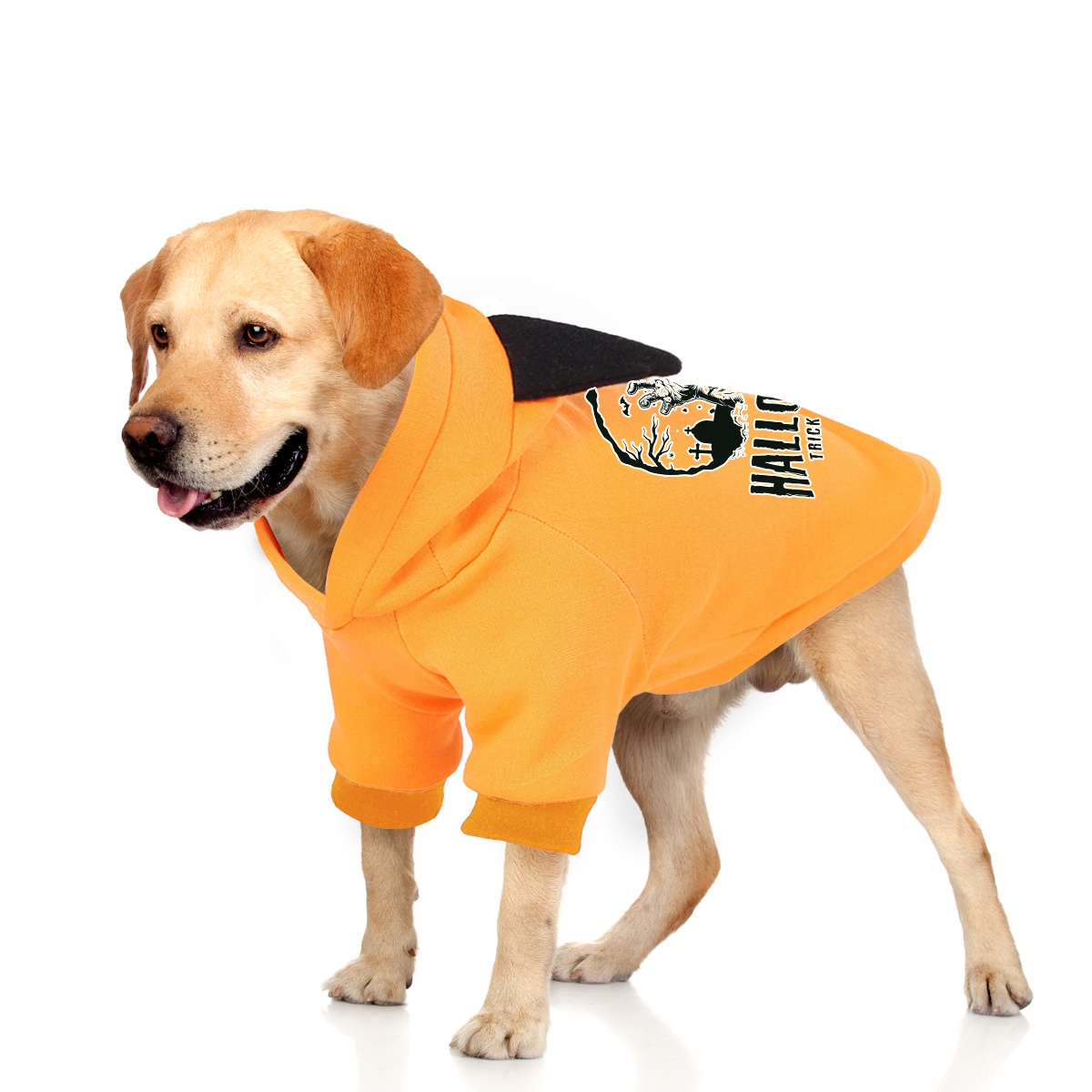 Halloween Cartoon Pet Hoodie Sweatshirt Costume for Cats and Dogs - Image 2