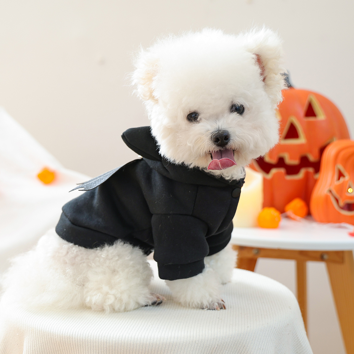 Pet Bat Wing Hoodie – Warm Fleece Halloween Costume for Dogs & Cats - Image 4