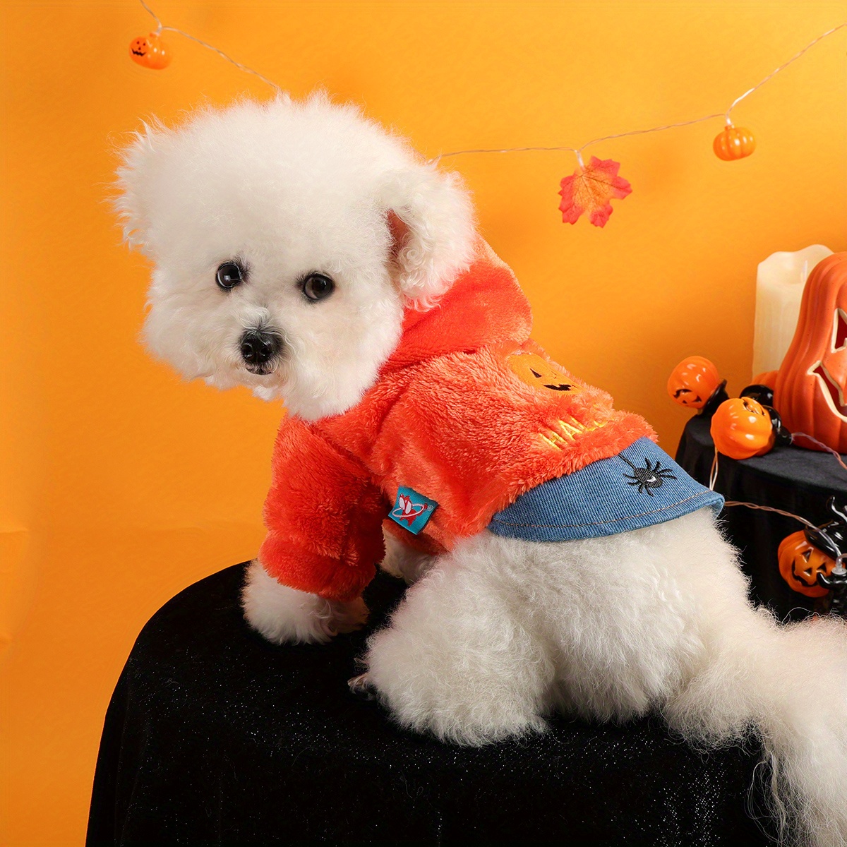 Halloween Pumpkin Pet Costume Jacket for Dogs and Cats – Fleece Warm Outfit - Image 2