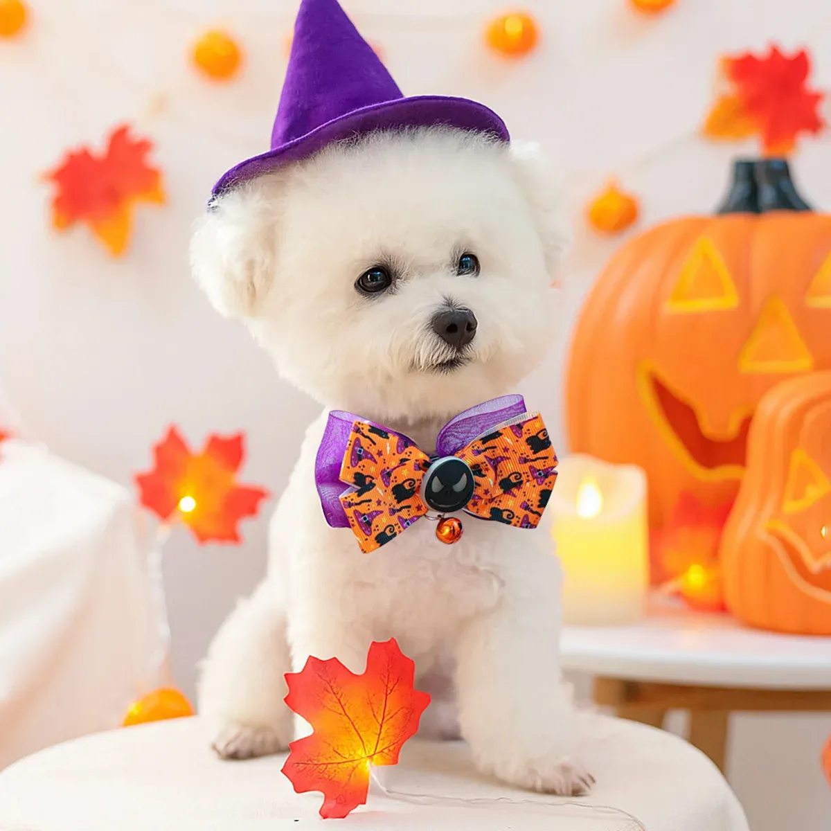 Halloween Glow-in-the-Dark Dog Collar with Bell – Pumpkin & Skull Design - Image 2
