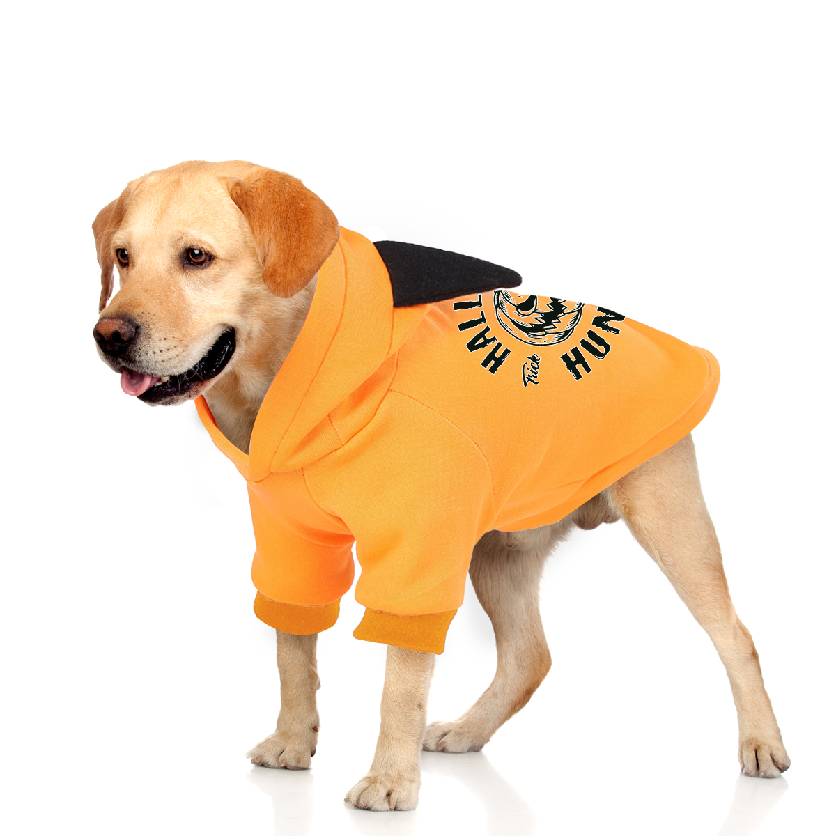 Cute Cartoon Print Pet Hoodie - Adorable Halloween Costume for Pets - Image 2