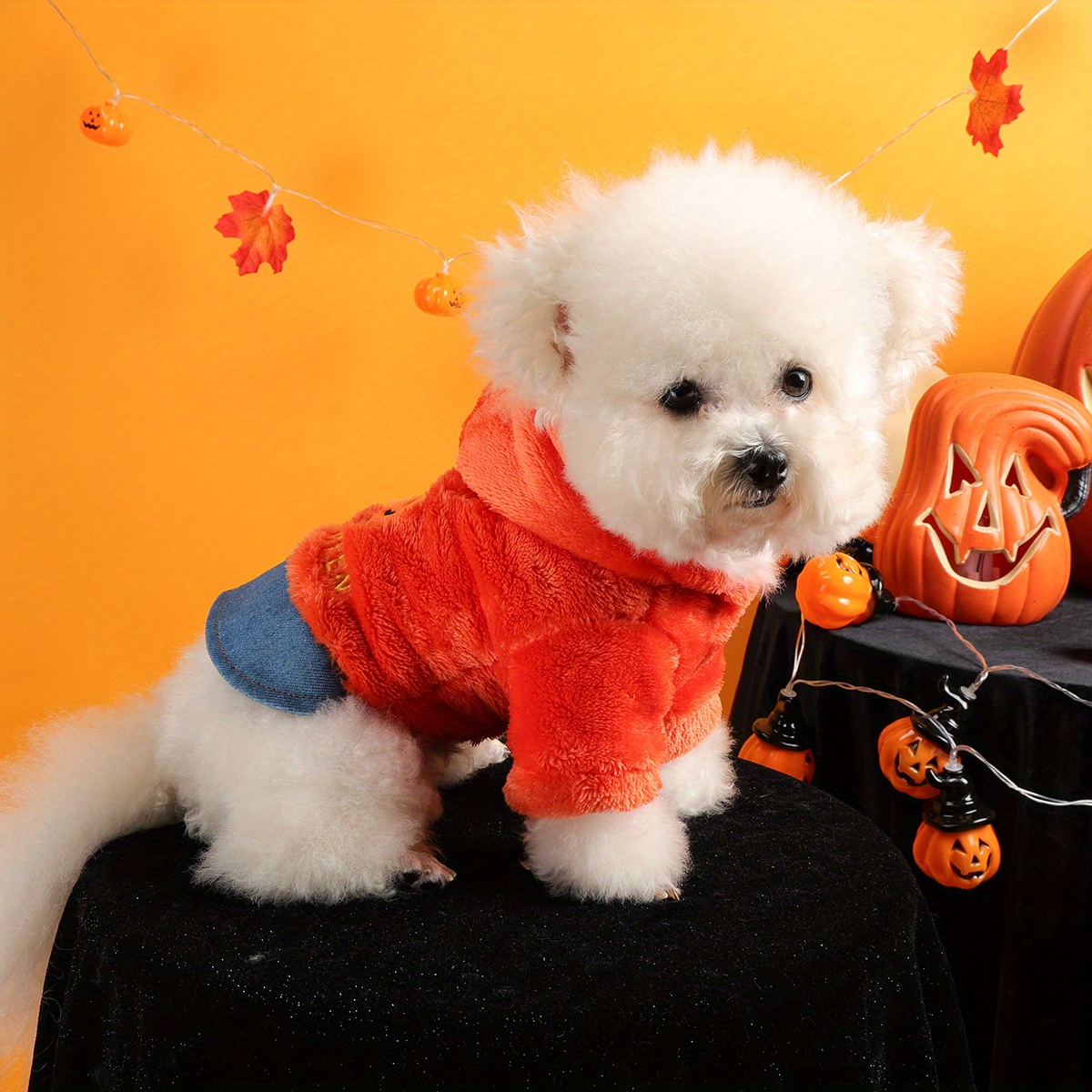 Halloween Pumpkin Pet Costume Jacket for Dogs and Cats – Fleece Warm Outfit - Image 4