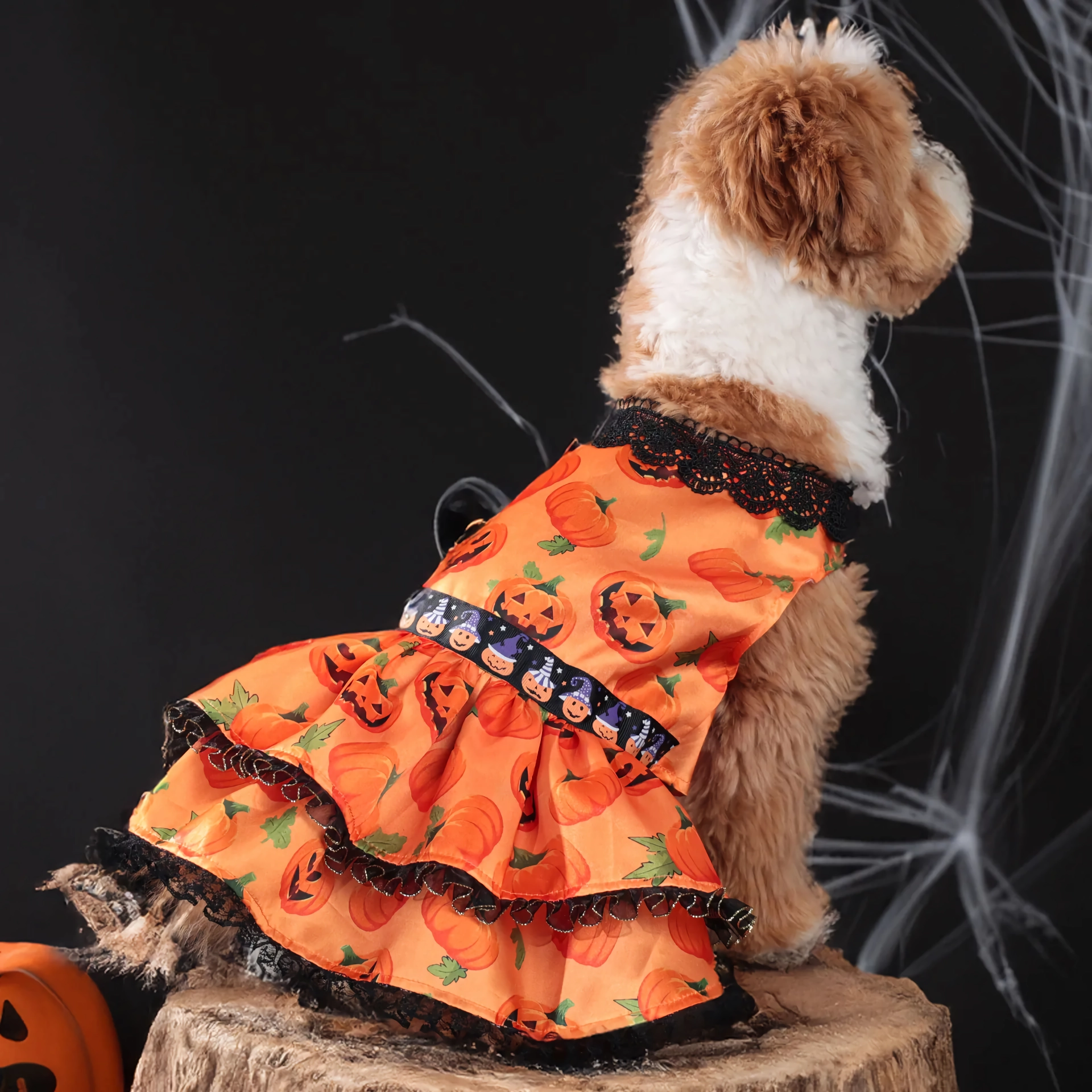 Halloween Pumpkin Dog Dress – Lace Skirt Costume for Small Dogs - Image 4