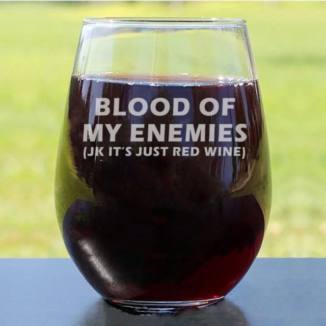 Blood of My Enemies Glass Mug – 11oz Funny Party Mug for Beer, Wine, and More