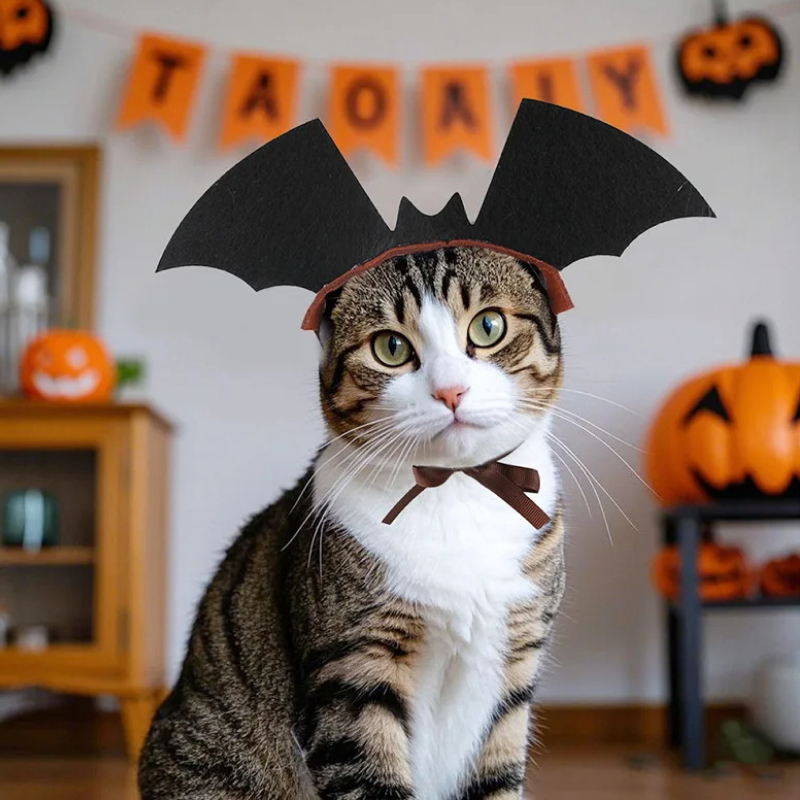 Halloween Bat Wings Headband for Pets