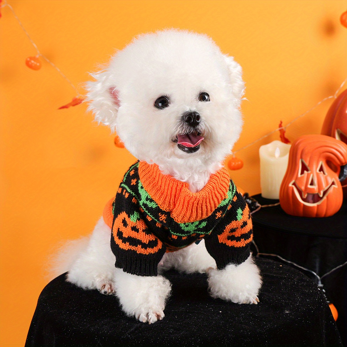Halloween Pumpkin Pet Sweater - Image 3