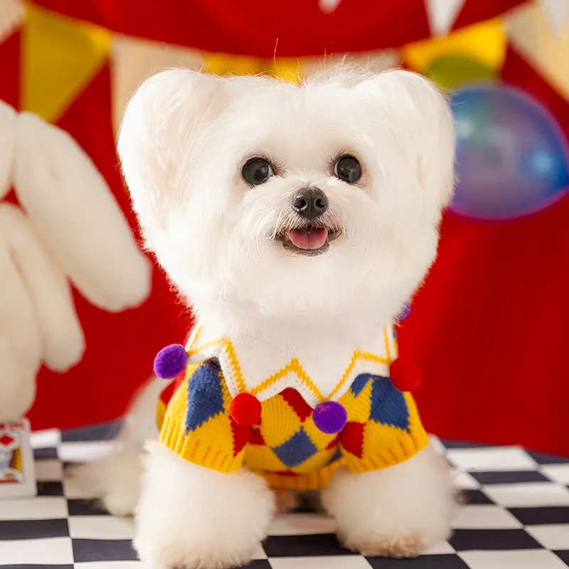 Clown Dog Sweater with Hat - Image 3