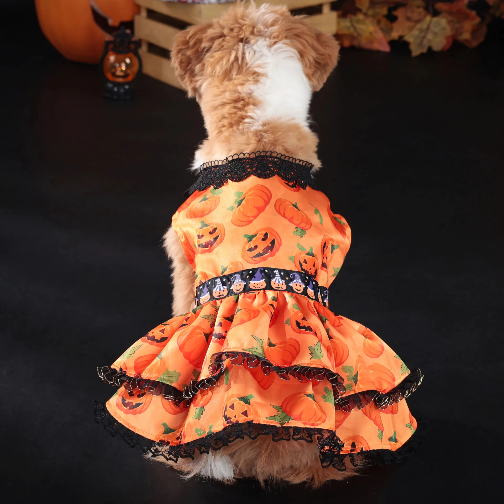 Halloween Pumpkin Dog Dress – Lace Skirt Costume for Small Dogs - Image 3