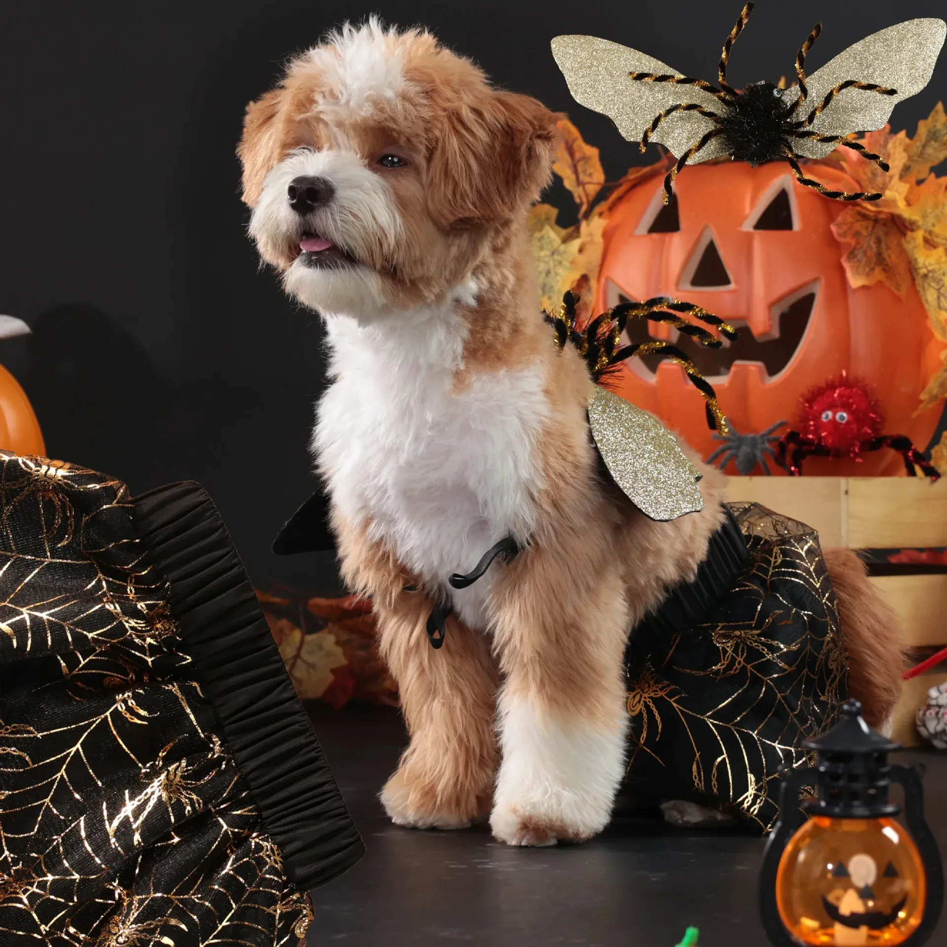 Spider Dog Costume - Funny Pet Halloween & Cosplay Outfit with Wings - Image 2