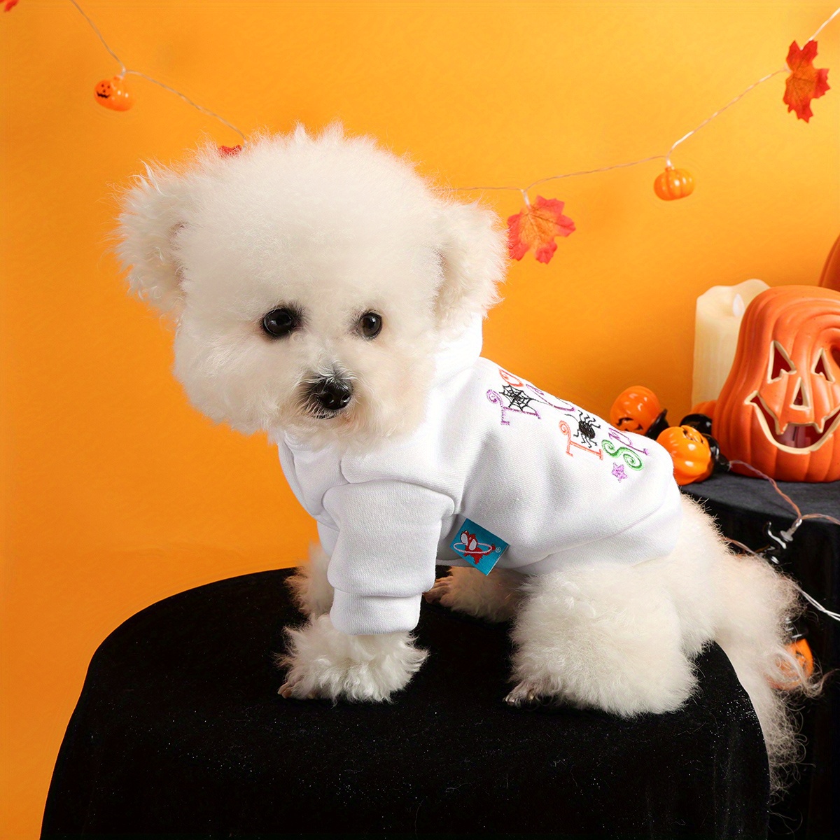Halloween Pet Hoodie Sweater with Funny Embroidery for Dogs and Cats - Image 4