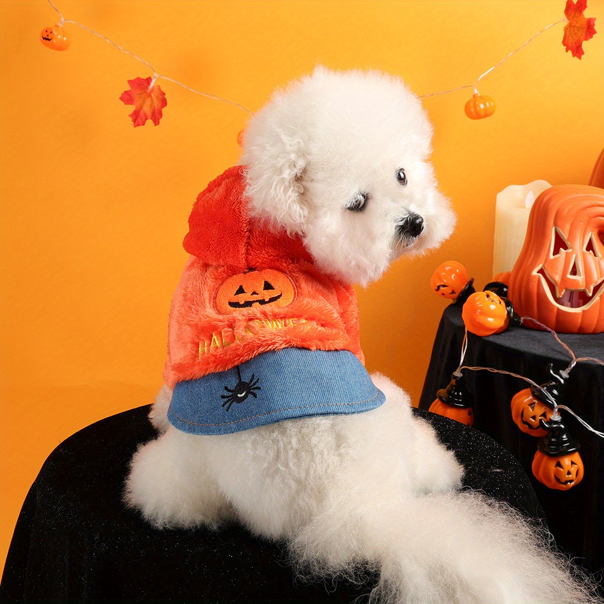 Halloween Pumpkin Pet Costume Jacket for Dogs and Cats – Fleece Warm Outfit - Image 3