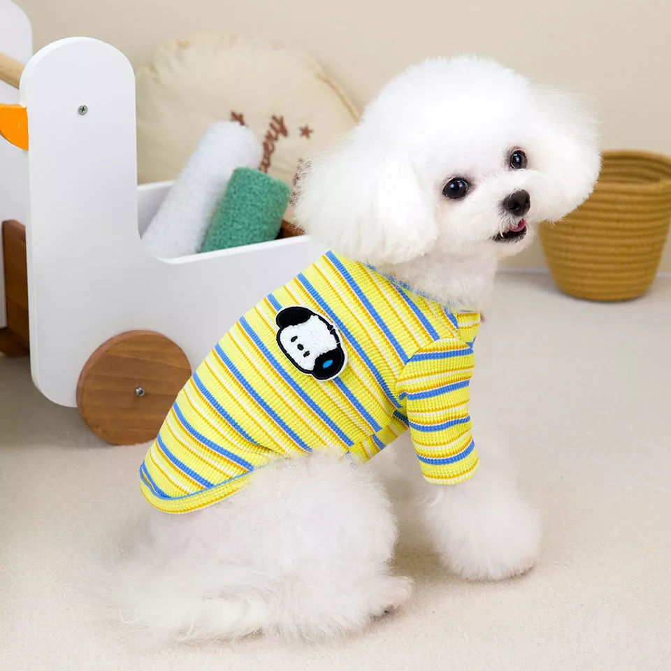 11495-9ac3fb.webp