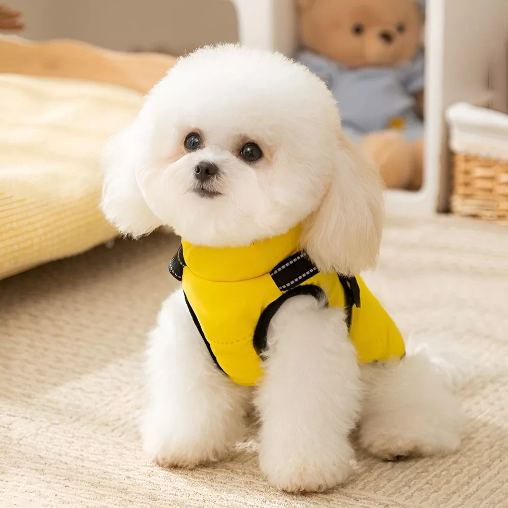 11304-4c0a83.webp