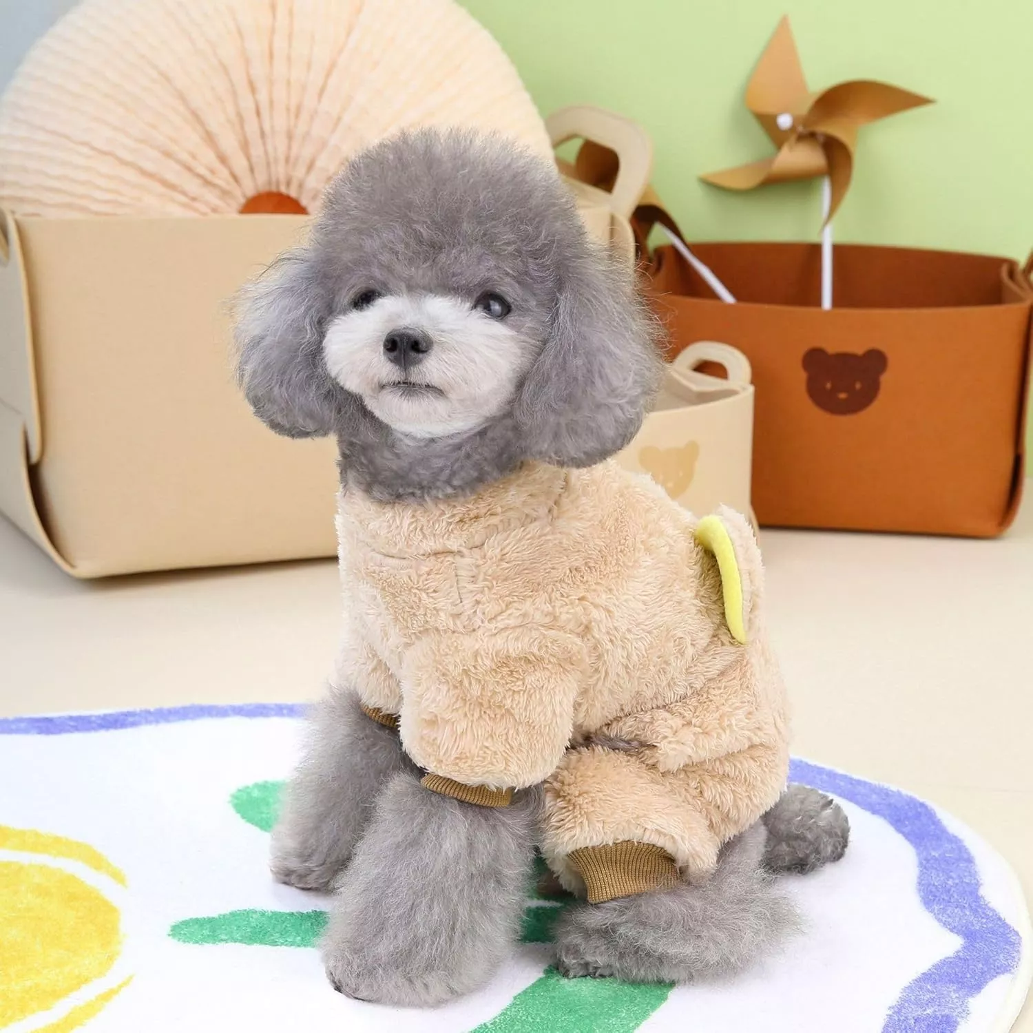 11603-076d95.webp
