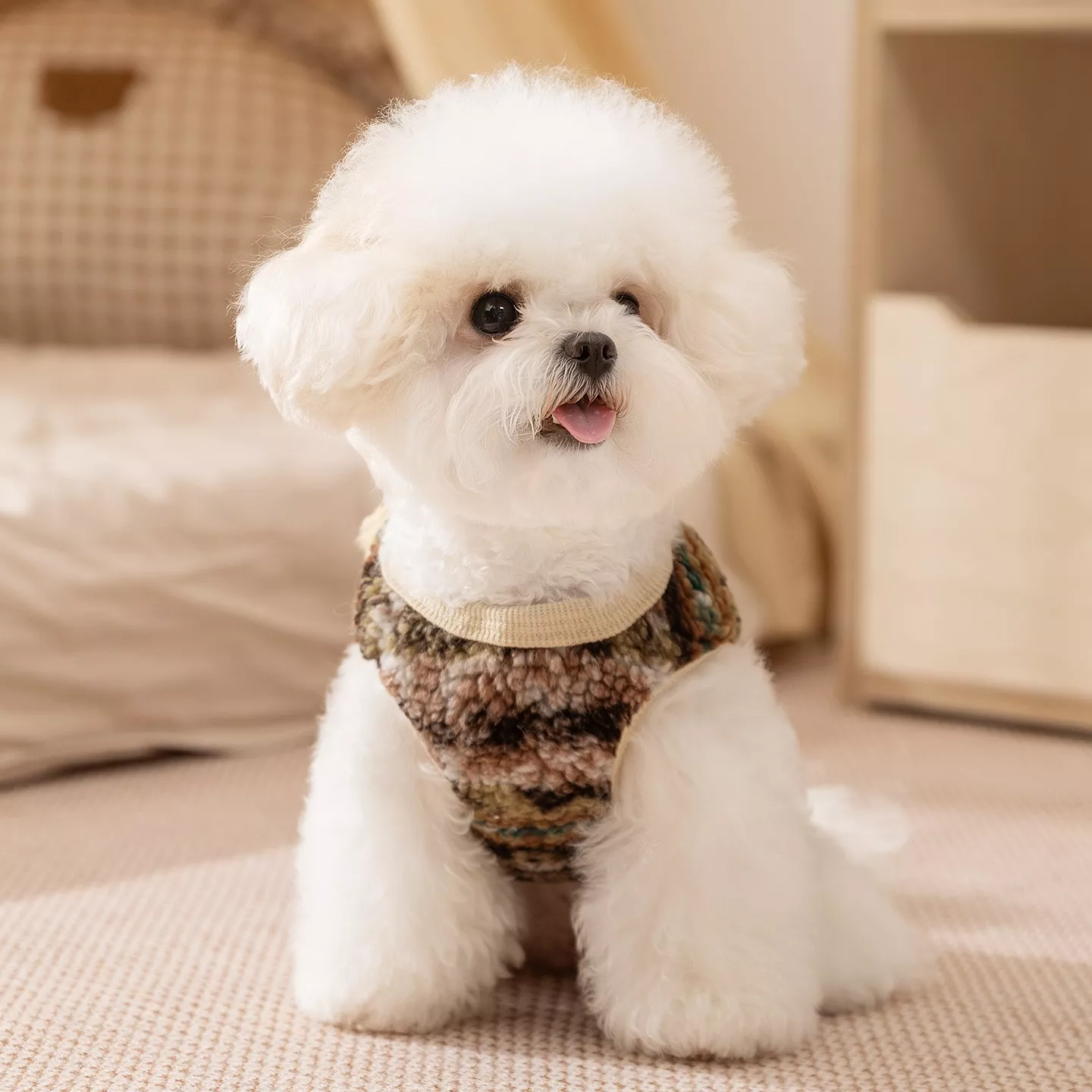 11410-1b6bd5.webp