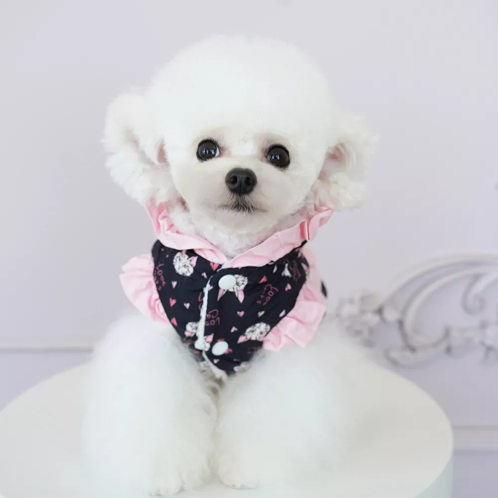 11644-5ee5cf.webp