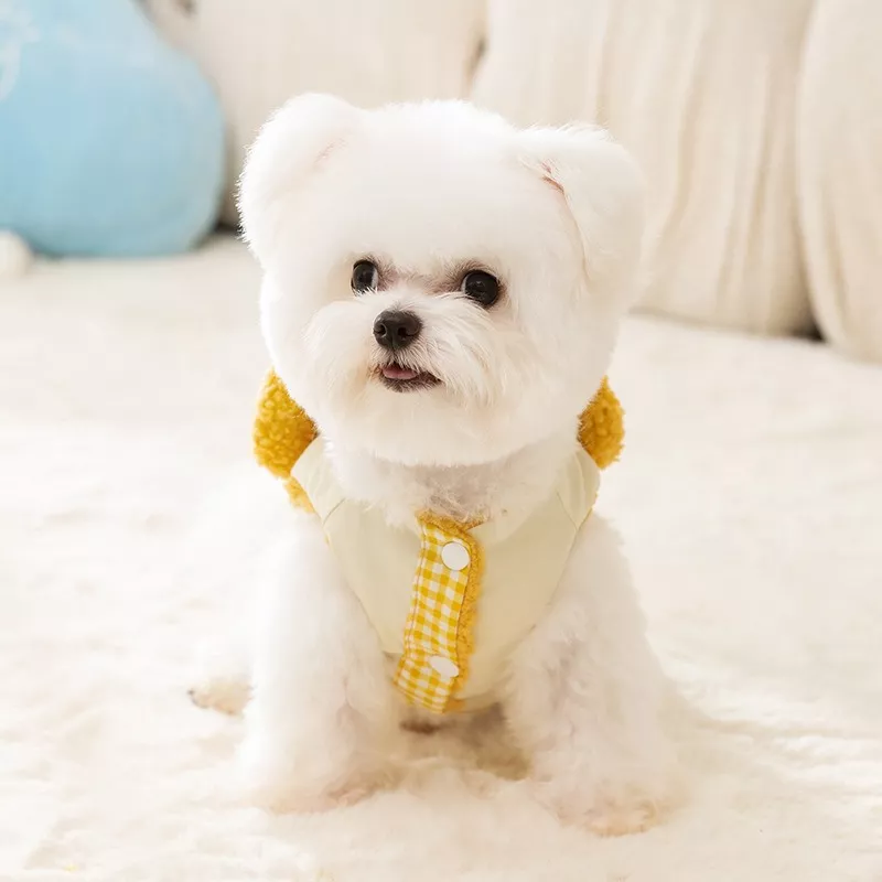 11557-225fd1.webp