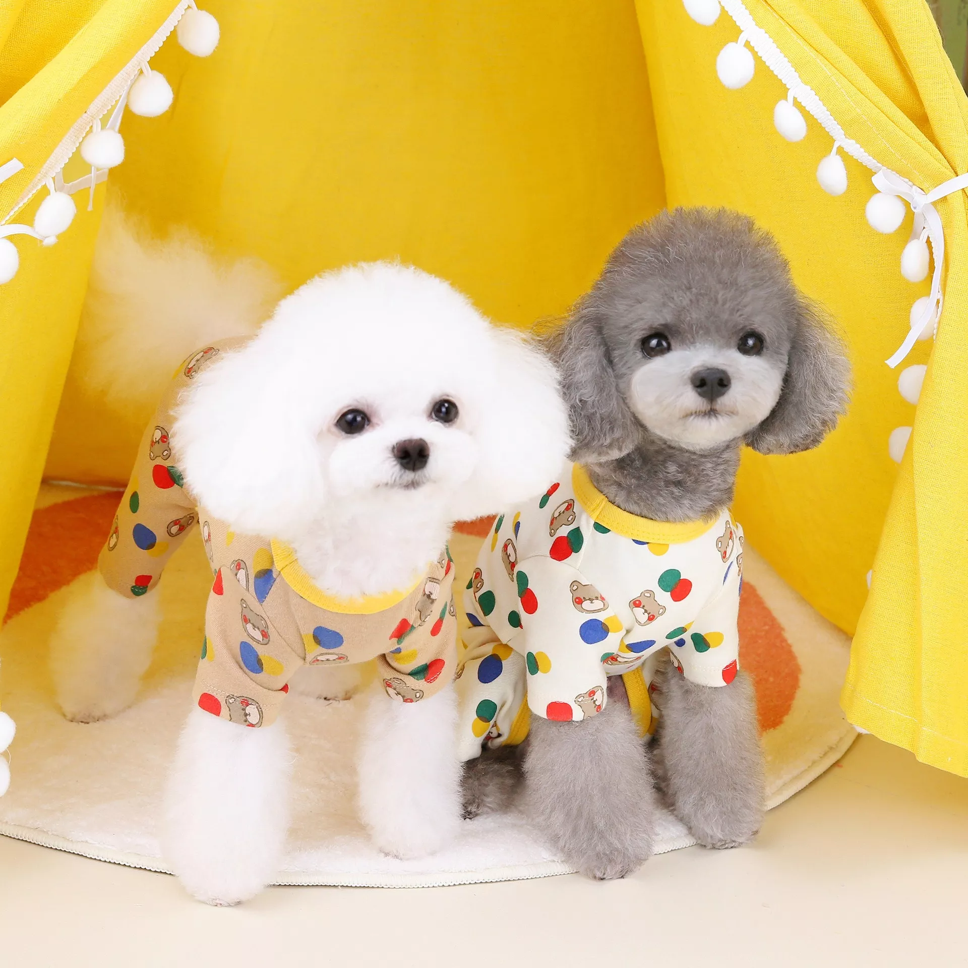 11347-1c94c1.webp