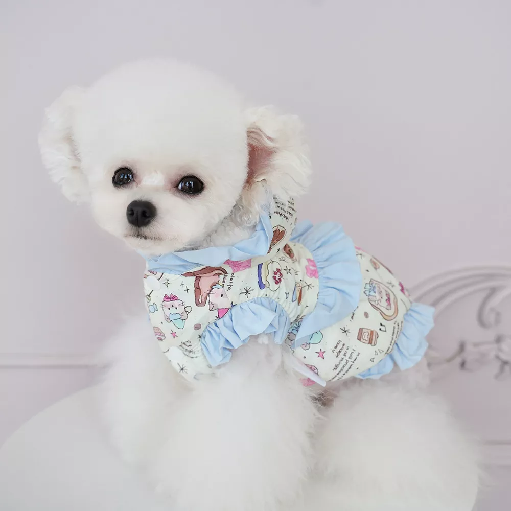 11644-f081fa.webp