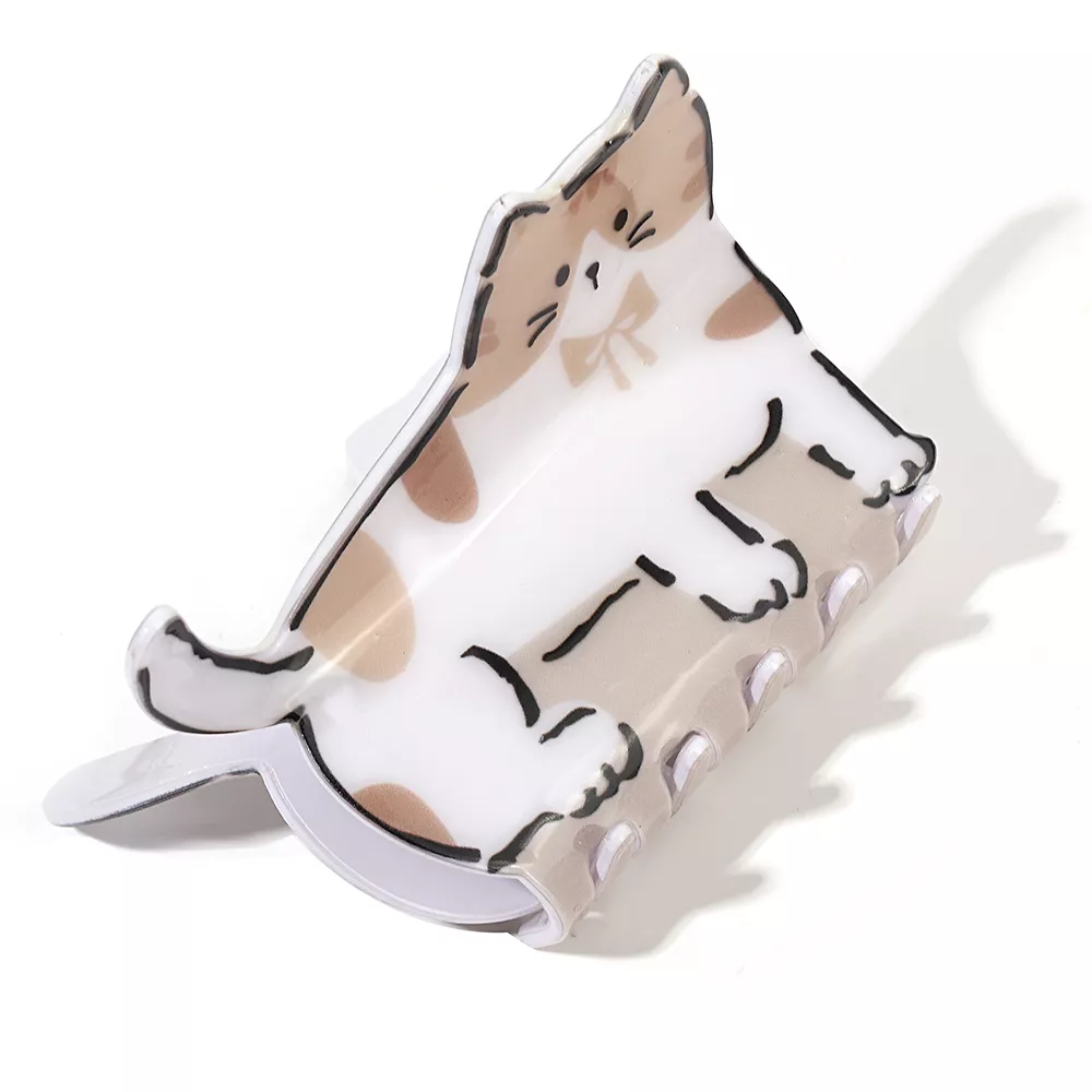 4831-e47d7c.webp