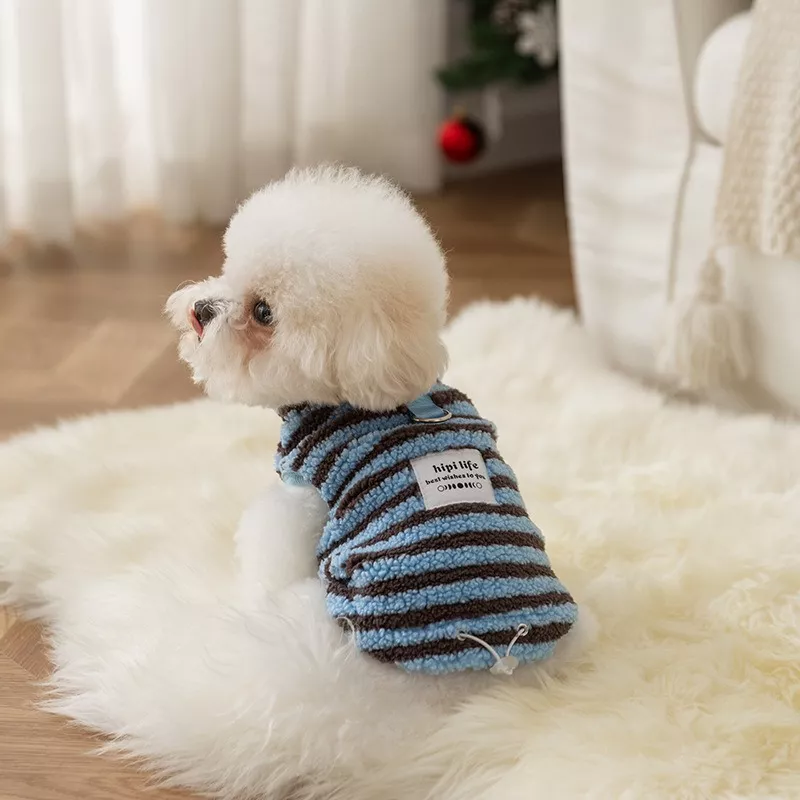 11391-212529.webp