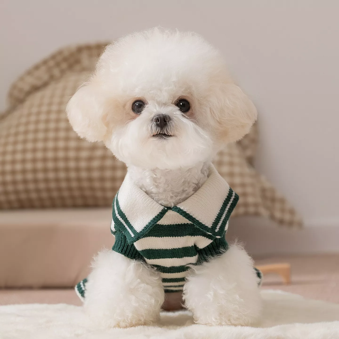 11368-fd74bb.webp