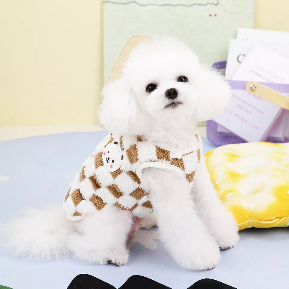 11357-7899ab.webp