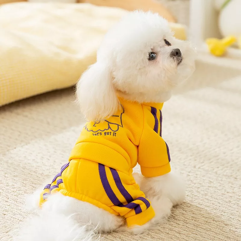 11323-77d317.webp