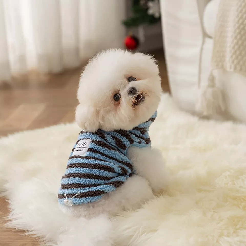 11391-a9a98a.webp