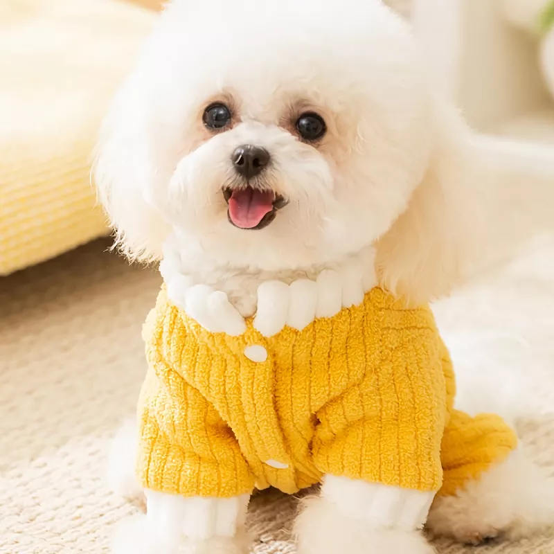 11341-cfb26d.webp
