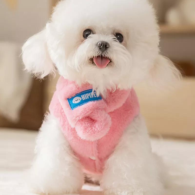 11566-8677ac.webp