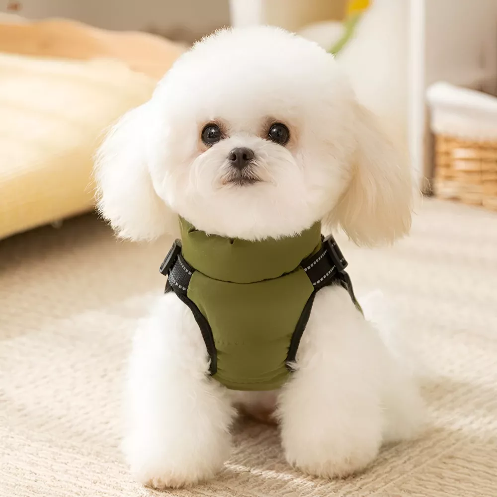 11304-422730.webp