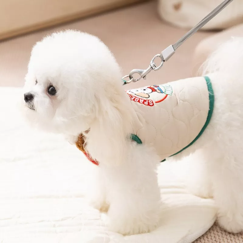 11375-758876.webp