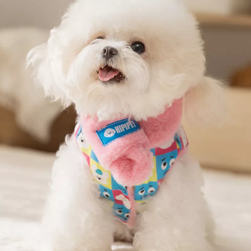 11566-2c2149.webp