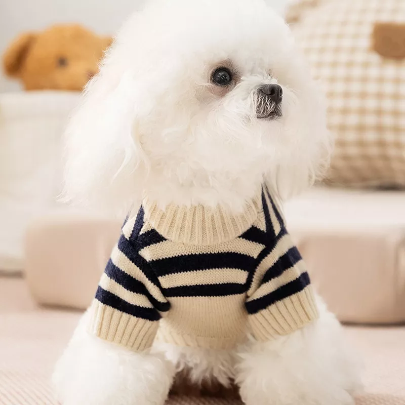 11613-82dc57.webp