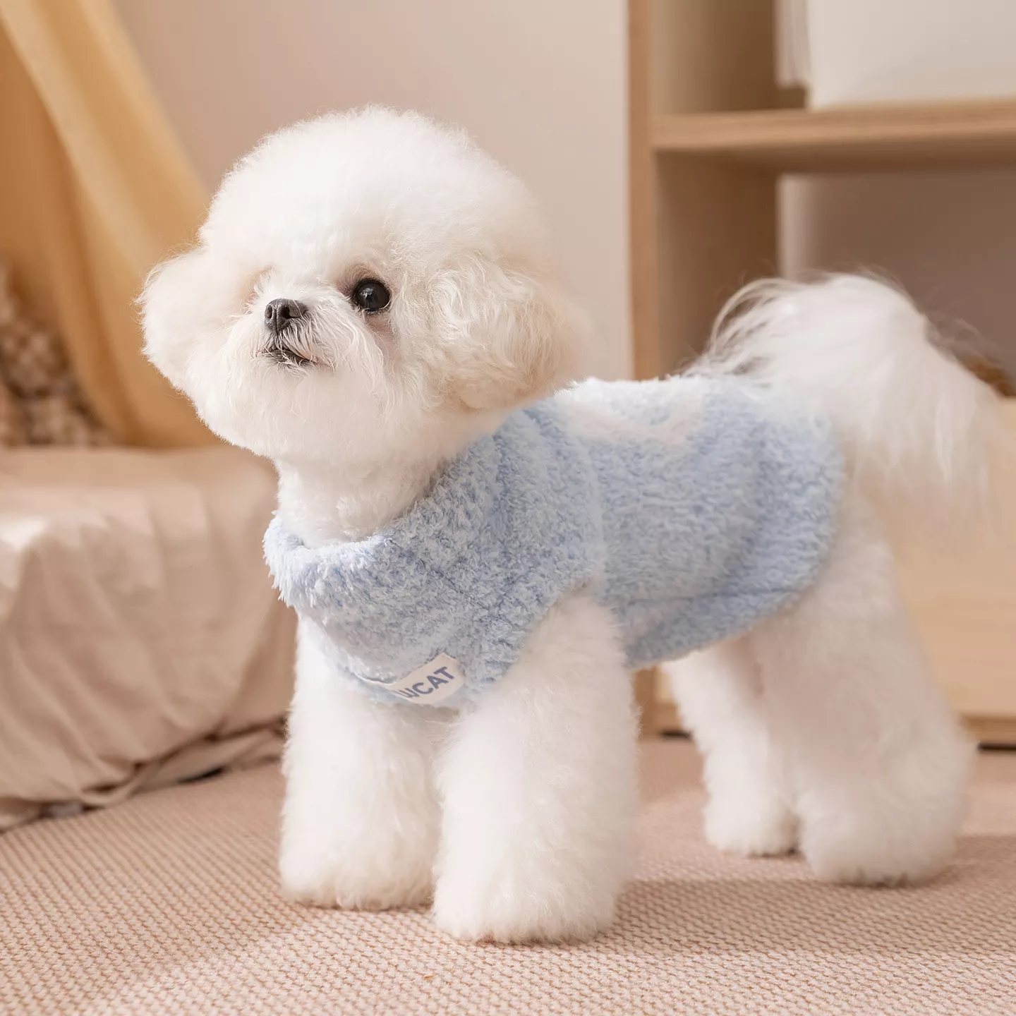 11528-0479a7.webp