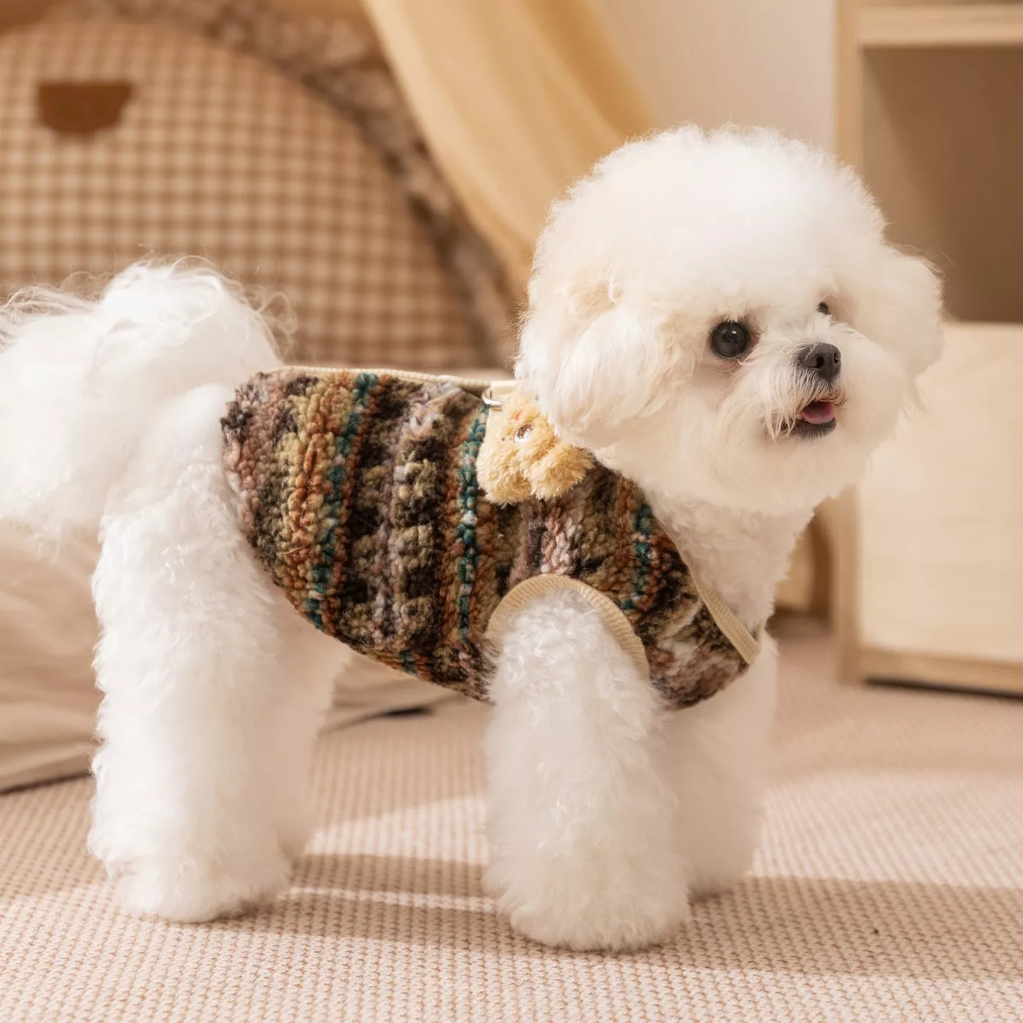 11410-1d5422.webp