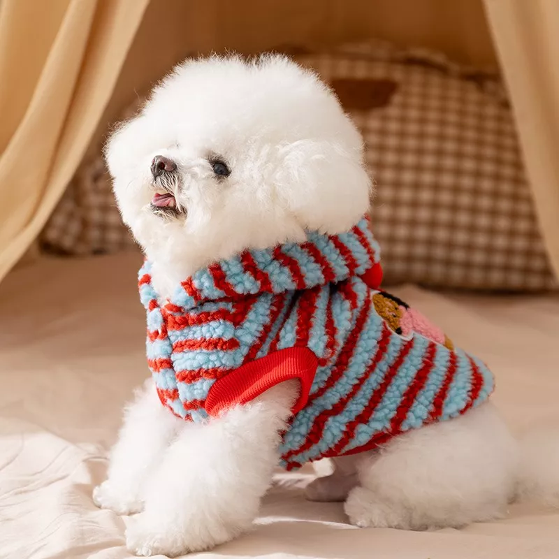 11449-8a14bb.webp