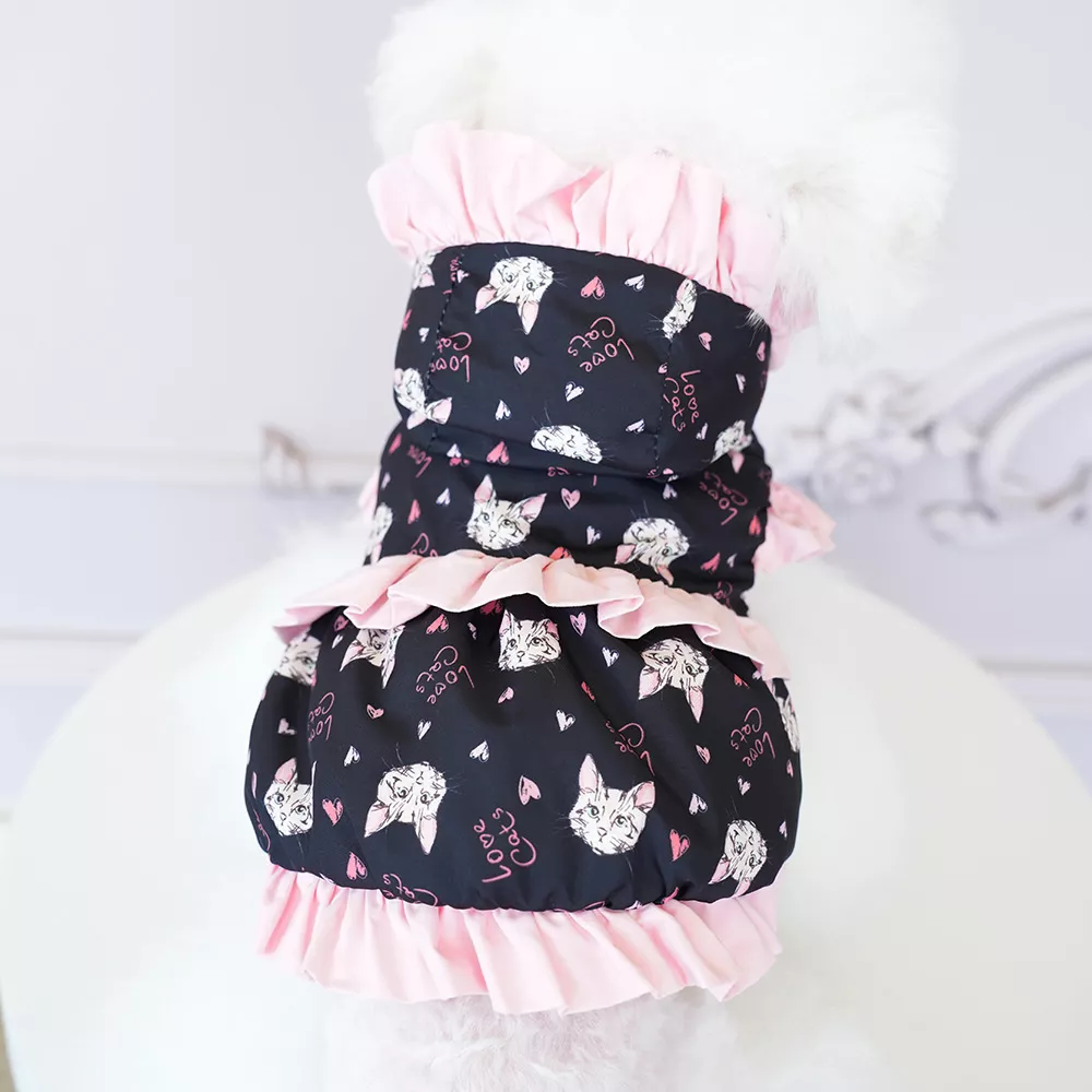 11644-376c89.webp