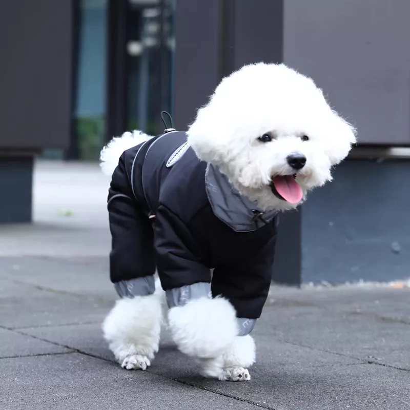 60730-c0f1f8.webp