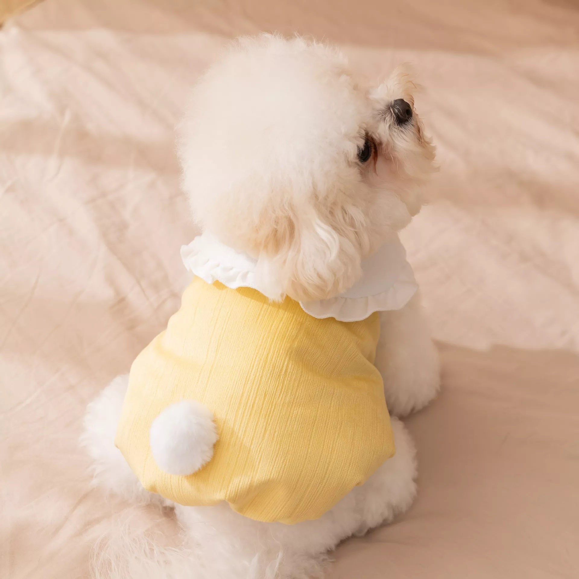 106388-02563d.webp