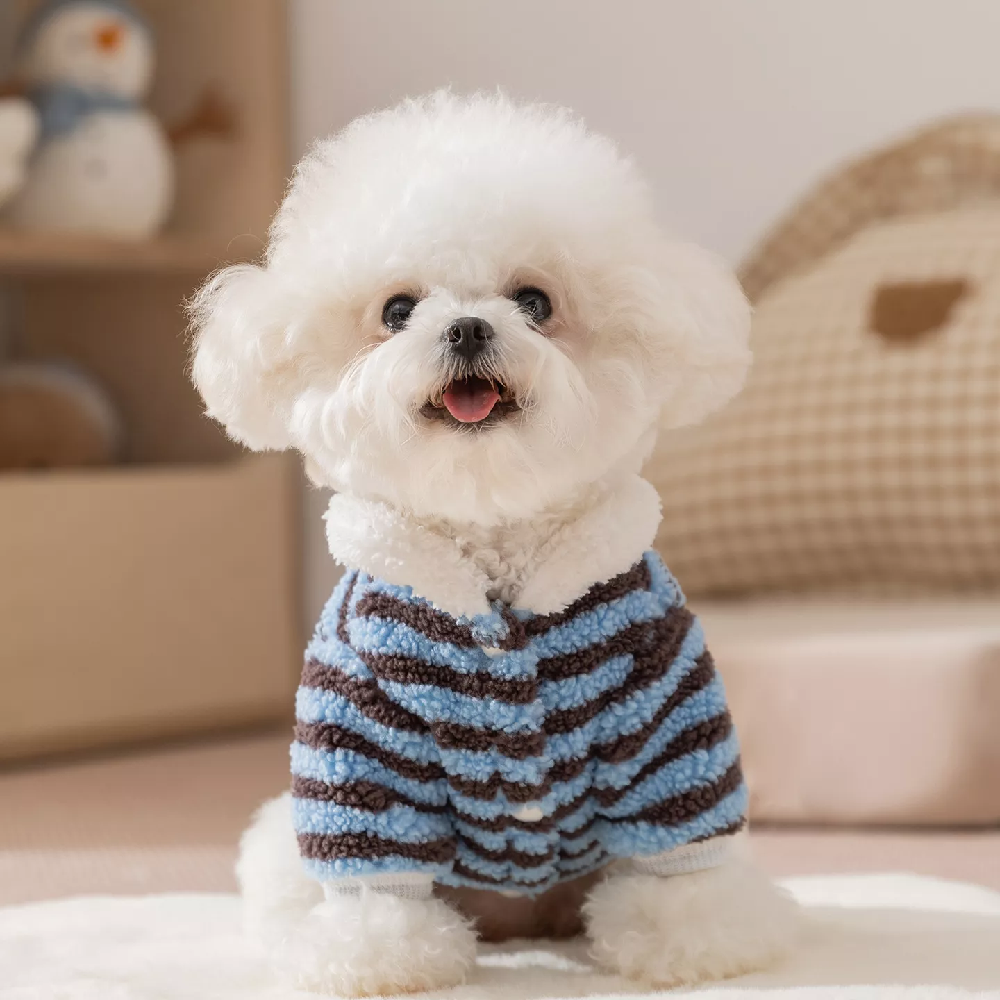 55955-bb5bdc.webp