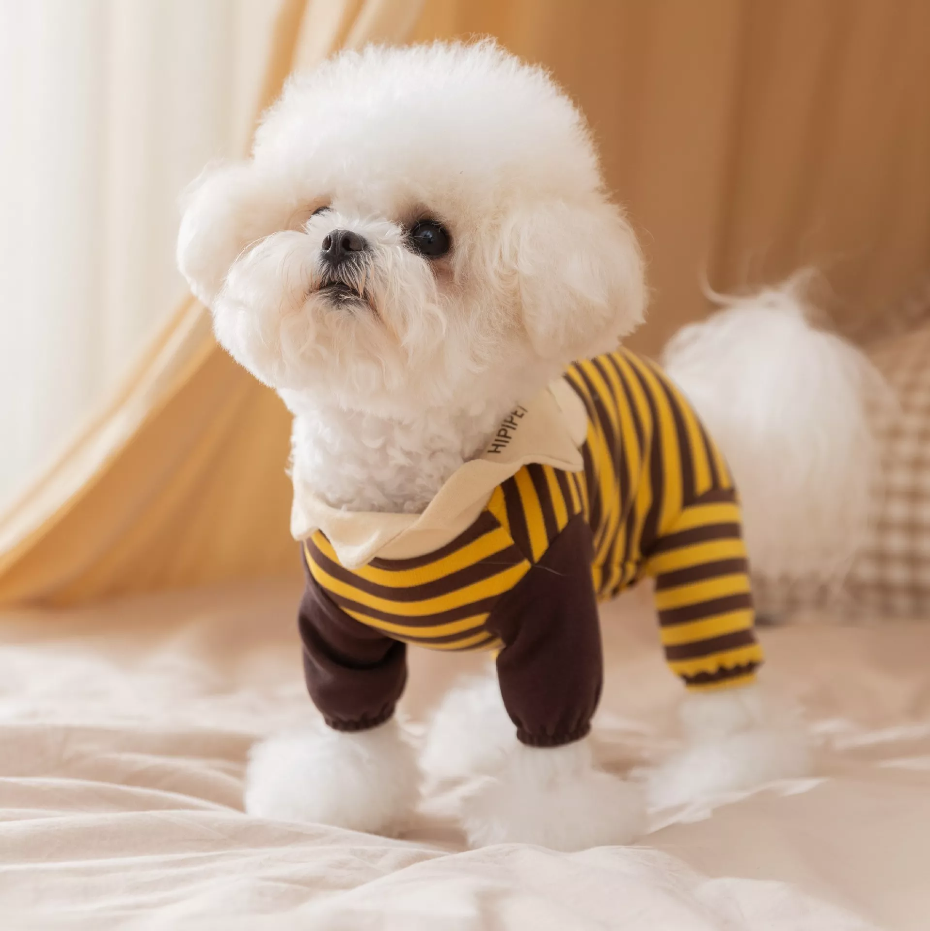 60816-c609fe.webp
