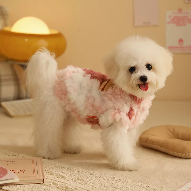 55937-4718be.webp