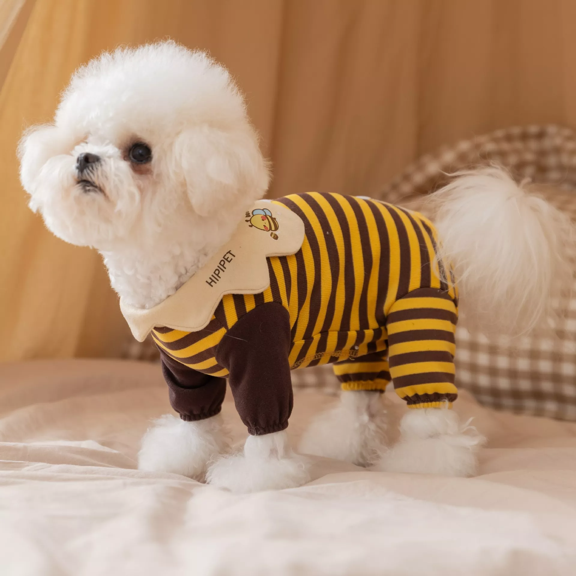 60816-0be656.webp